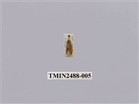 藏品(暗良苔蛾)的圖片